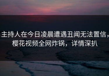 主持人在今日凌晨遭遇丑闻无法置信，樱花视频全网炸锅，详情深扒