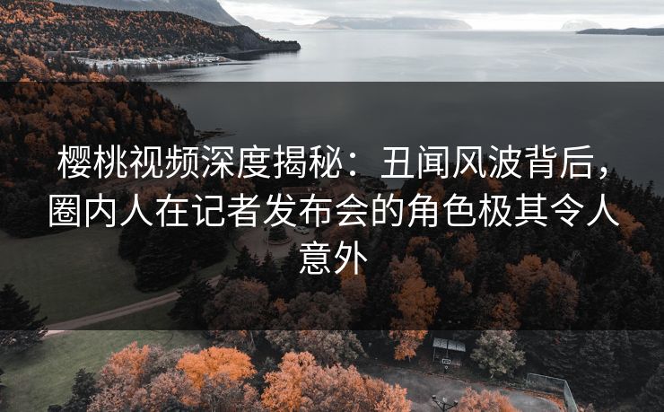 樱桃视频深度揭秘：丑闻风波背后，圈内人在记者发布会的角色极其令人意外