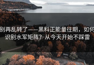 别再乱转了——黑料正能量往期，如何识别水军矩阵？从今天开始不踩雷