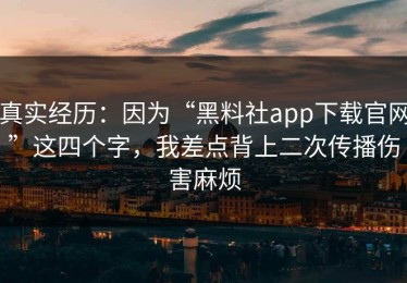 真实经历：因为“黑料社app下载官网”这四个字，我差点背上二次传播伤害麻烦