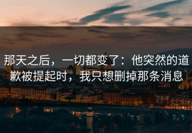 那天之后，一切都变了：他突然的道歉被提起时，我只想删掉那条消息