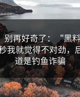 说真的，别再好奇了：“黑料网漫画”：那一秒我就觉得不对劲，后来才知道是钓鱼诈骗