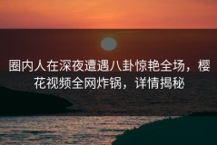 圈内人在深夜遭遇八卦惊艳全场，樱花视频全网炸锅，详情揭秘