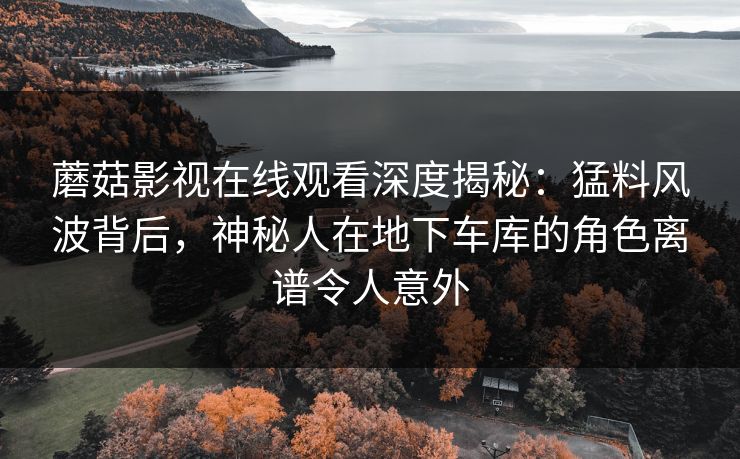 蘑菇影视在线观看深度揭秘：猛料风波背后，神秘人在地下车库的角色离谱令人意外